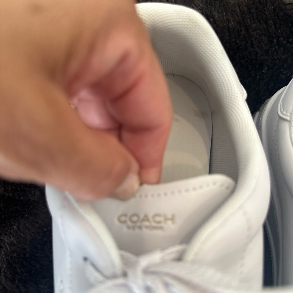 Coach White Mesh Sneakers - Picture 4 of 12